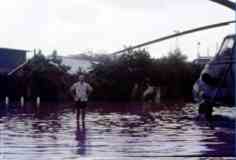 ���� ������ ��� ��� ����